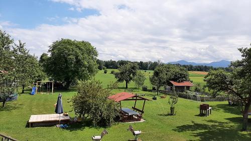 ger00020062349739799-sized-500-0